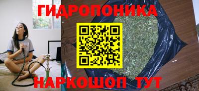 индика Краснодар
